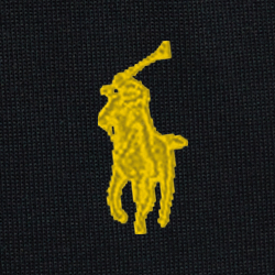 Polo Black Multi