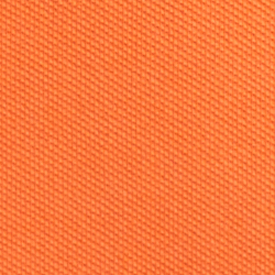 Summer Coral