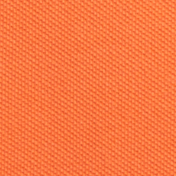 Summer Coral