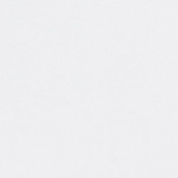 Sp24 Clb55 Bear White