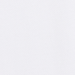 White Core Bear
