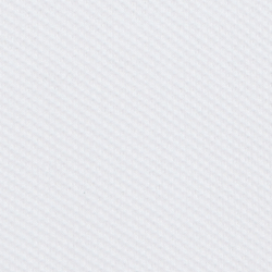 White Core Bear