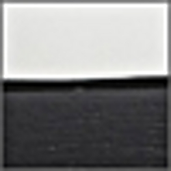 Black/Silver
