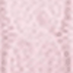 Morning Pink