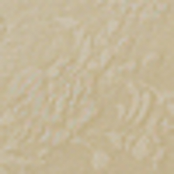 Cream Floral