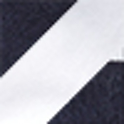 Navy/White
