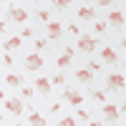 Delicate Pink