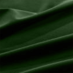 Riding Velvet – Green