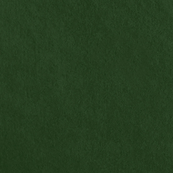 Riding Velvet - Green