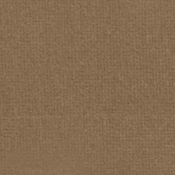 English Riding Velvet - Camel