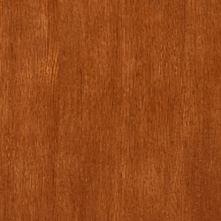 Medium Oak