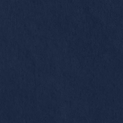 Riding Velvet - Midnight