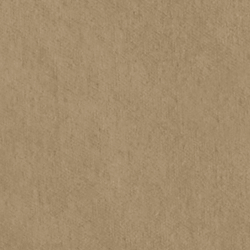 Riding Velvet - Camel