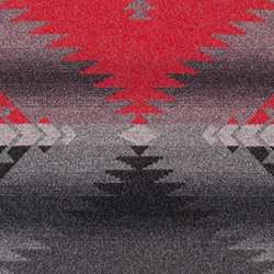 Cochineal Red