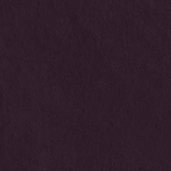 Riding Velvet - Purple