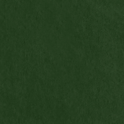 Riding Velvet - Green