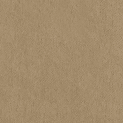 Riding Velvet - Camel