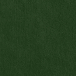 Riding Velvet - Green