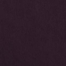 Riding Velvet - Purple