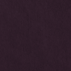 Riding Velvet - Purple