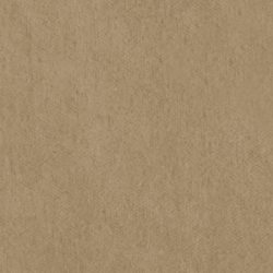 Riding Velvet - Camel