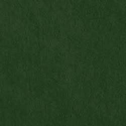 Riding Velvet - Green
