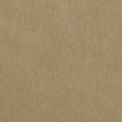 Riding Velvet - Camel