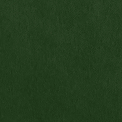 Riding Velvet - Green