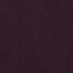 Riding Velvet - Purple