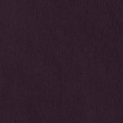 Riding Velvet - Purple