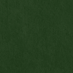 Riding Velvet - Green