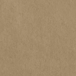 Riding Velvet - Camel