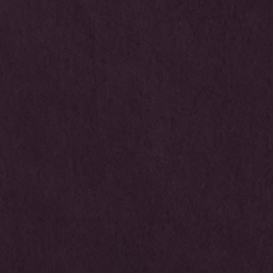 Riding Velvet - Purple