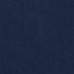 Riding Velvet - Midnight