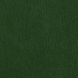 Riding Velvet - Green