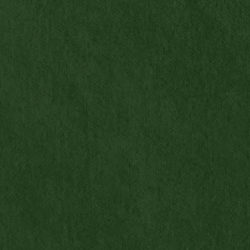 Riding Velvet - Green