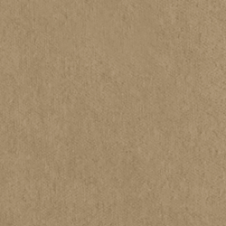 Riding Velvet - Camel