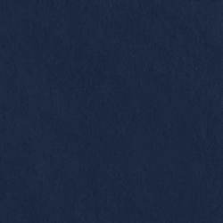 Riding Velvet - Midnight