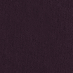 Riding Velvet - Purple