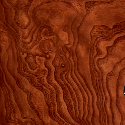 Ash Burl