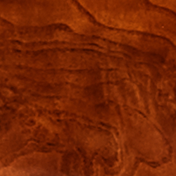 Ash Burl