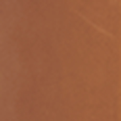 Saddle Leather