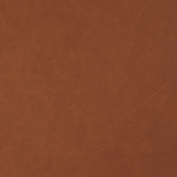 Saddle Leather