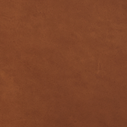 Saddle Leather