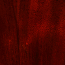 Medium American Walnut