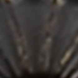 Antiqued Gild