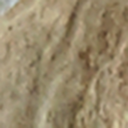 Natural Bone