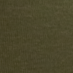 Olive Grove