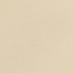 Ivory Beige