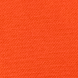 Orange Lilie